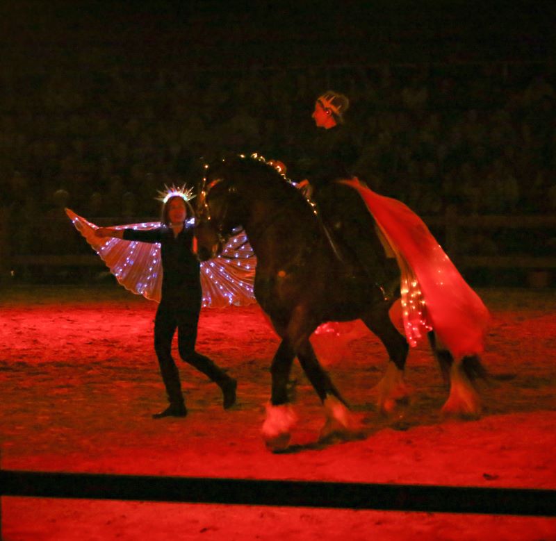 Shire Horse Lichtreiter